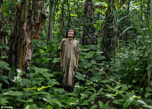 Tsimane Diet