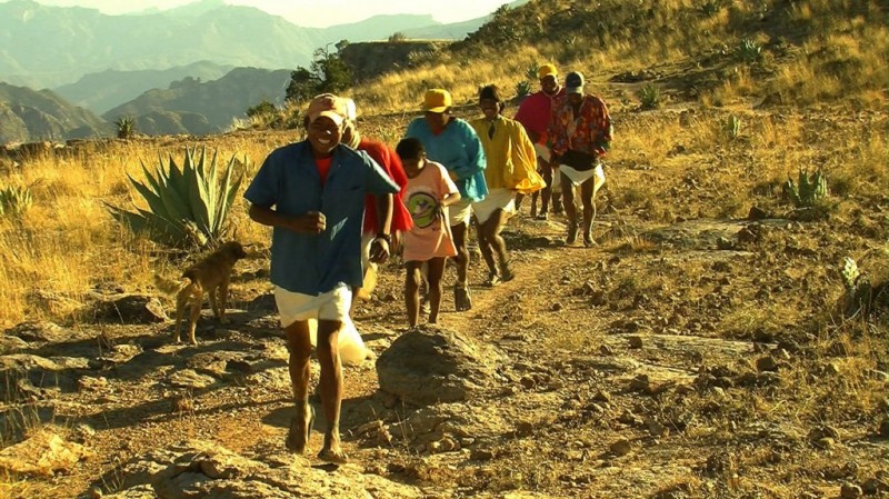 Tribe walking two